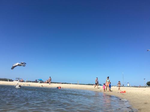 a group of people on a beach flying a kite at Blue Waters Apartments in Gold Coast