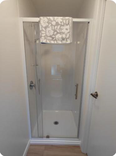 a shower with a glass door with a curtain at Cow & Calf Cottages- bike wineries & relax in rural location Napier 15 mins in Puketapu