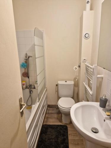 a small bathroom with a toilet and a sink at Carthage in Vierzon