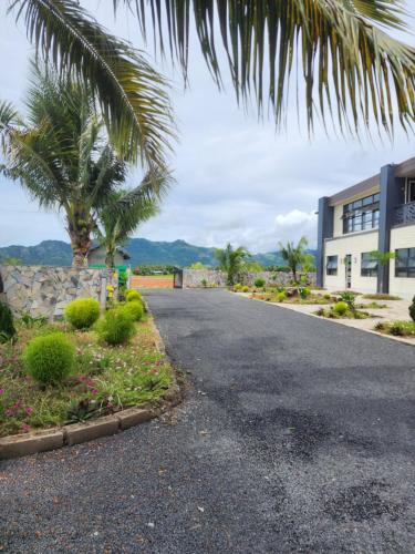 een lege weg voor een gebouw met een palmboom bij MakutuBnB, Nadi in Nadi