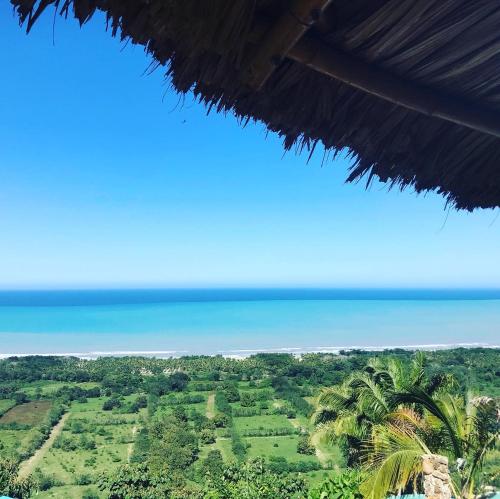 una vista della giungla da una capanna di paglia di Puerto Alto Hostel a Santa Marta