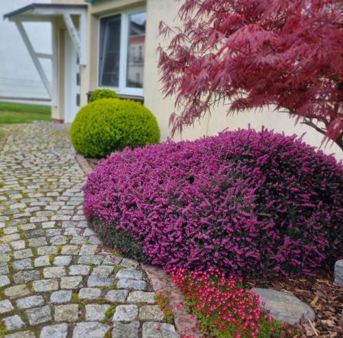 Zahrada ubytování Ferienglück am See - ABC288 - nur Feriengäste!