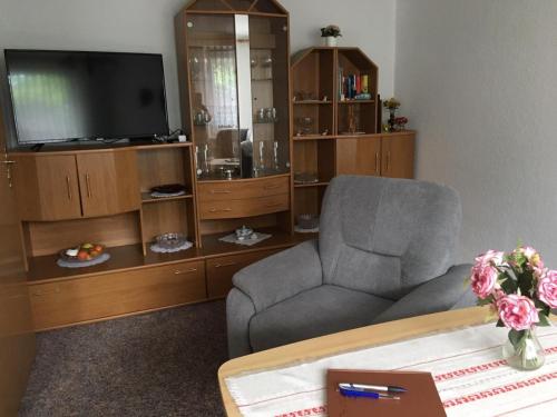 a living room with a chair and a television at Ferienhaus Albrecht - ABC207 in Wismar
