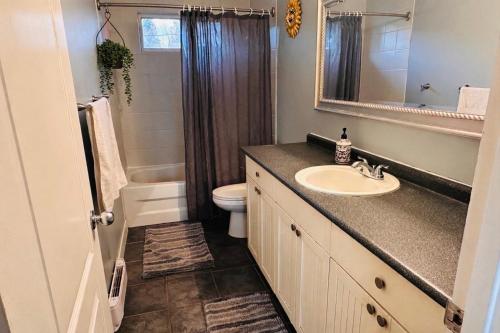 a bathroom with a sink and a toilet and a mirror at Mountain Joy Getaway in Valemount
