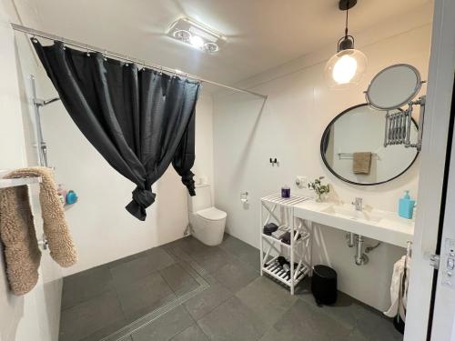 een badkamer met een wastafel, een toilet en een spiegel bij Cosy Guesthouse in Moss Vale