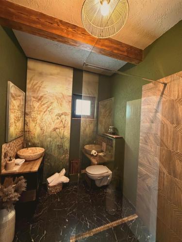 a bathroom with a toilet and a sink at The White House Tripsylvania in Şirnea