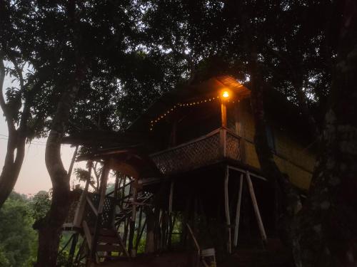 Gallery image of Dhupchaya Nature Retreat in Manikchari