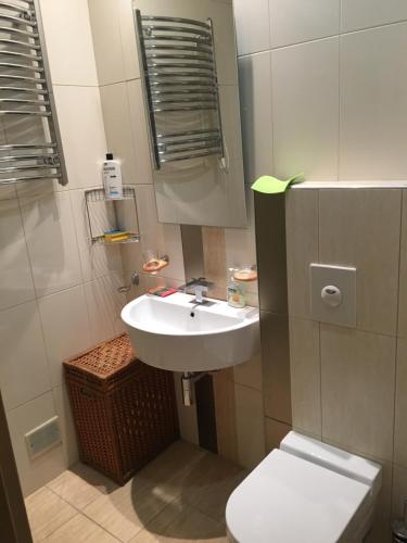 a bathroom with a sink and a toilet at Zaga Solemar Apartment in Herceg-Novi