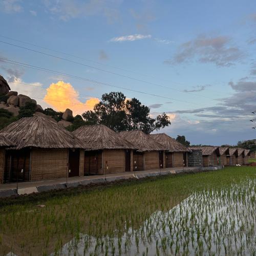 a row of houses with grass roofs and a field at The Gravity Cafe -A Unit Of StayChillHampi in New Hampi