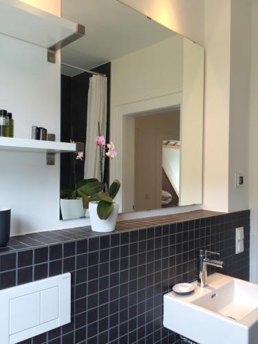 a bathroom with a sink and a mirror at Apartment Adlerhorst in Homburg