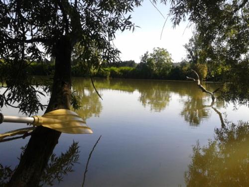 a yellow umbrella is leaning against a tree on a lake at 4 Joliette in Tartiers