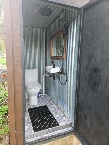 een badkamer met toilet en wastafel bij Mahakipaoa Cabin in Linkwater