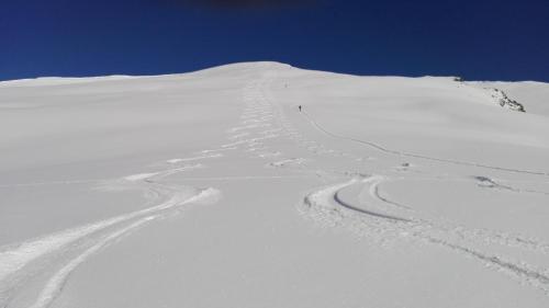 a snow covered mountain with tracks in the snow at Cà di Candi in Demonte