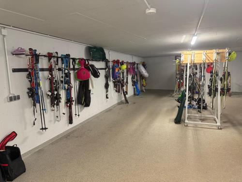 Phòng/tiện nghi tập thể dục tại Summit of Saxony Resort Oberwiesenthal