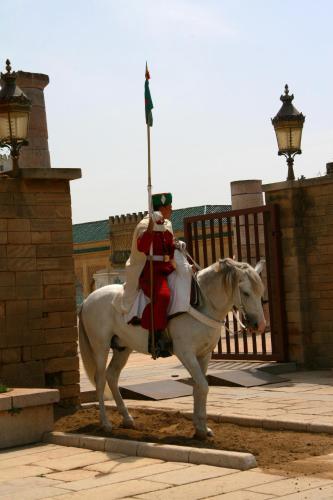 Montar a caballo en el riad o alrededores