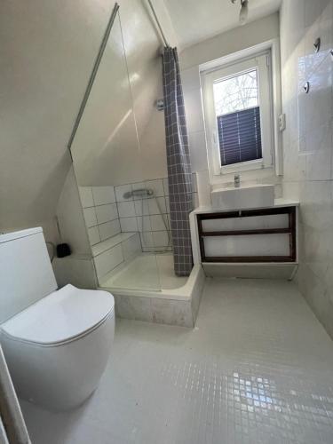 a bathroom with a toilet and a shower and a sink at Hamburger Villenviertel, ganzes Haus mit 5 Einbettzimmern,1 Esszimmer in Hamburg