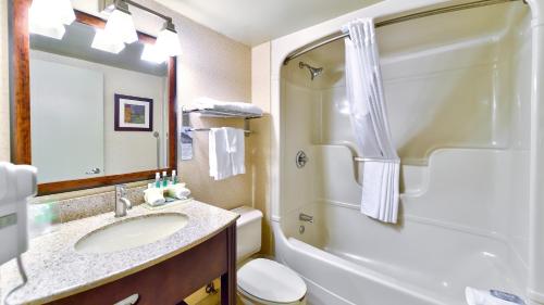 a bathroom with a sink and a toilet and a shower at Holiday Inn Express St. Jean Sur Richelieu, an IHG Hotel in Saint-Jean-sur-Richelieu