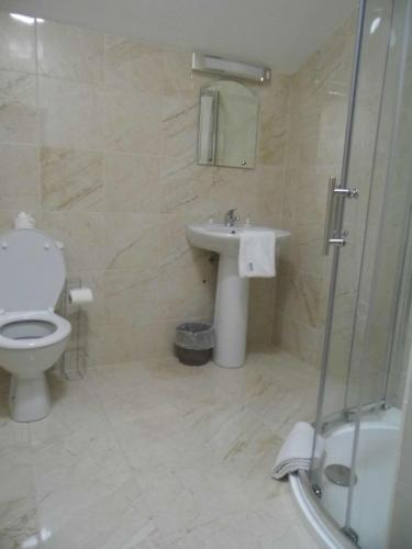 a bathroom with a toilet and a sink and a shower at The Waterfront Townhouse Accommodation in Kilkenny