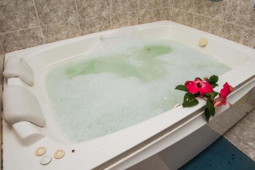 a bath tub filled with water with a flower in it at Eco Pousada Eldorado Lumiar in Lumiar