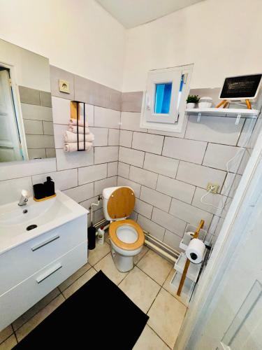 a bathroom with a toilet and a sink at Appartement au 1 er étage côté jardin in Thaon-les-Vosges