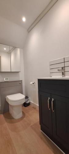 a bathroom with a white toilet and a sink at Ground Floor Apartment, Garden and free parking - 10 The Rise in Kirkstall
