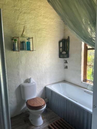 a bathroom with a toilet and a bath tub at Ouma se Plaashuis - Martine se kamer in Van Reenen
