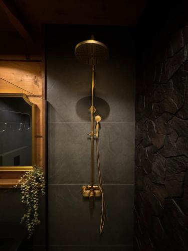 a shower in a bathroom with a wall at Villa Podhalańska 1959 in Biały Dunajec