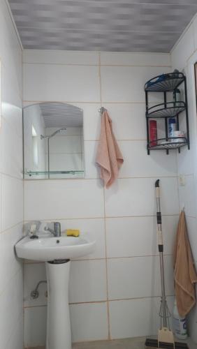a bathroom with a sink and a mirror at Iamze's Guest House in Mestia
