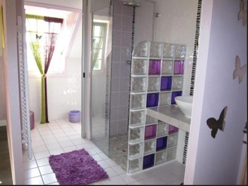 a bathroom with a glass shower with a purple rug at Chambre d'hôtes La Chatelière in Prémery