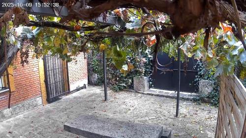ein Gebäude mit einem Tor und einem Baum mit Blättern in der Unterkunft El patio de Rio Lozoya in Buitrago del Lozoya
