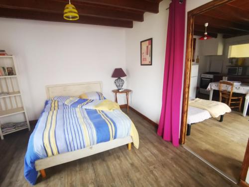 a bedroom with a bed and a mirror at LES GITES D'AVEZE Volcan, Sancy, Bourboule in Avèze