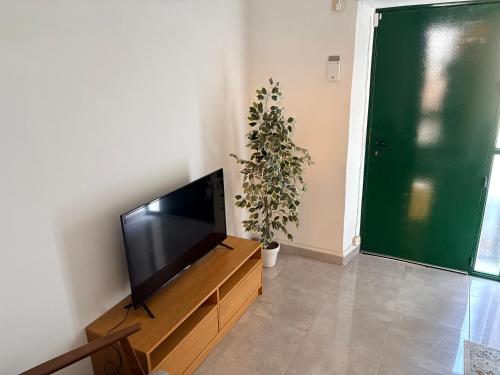 a living room with a television and a potted plant at Casa Alora in Alora