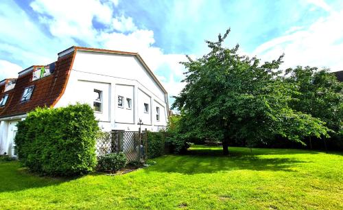 a white house with a tree in the yard at HoLa Auszeit - ehemalige Scheune am Dassower See in Dassow