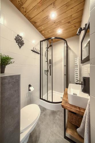 a bathroom with a shower and a toilet and a sink at Chata u Bożeny in Muszyna
