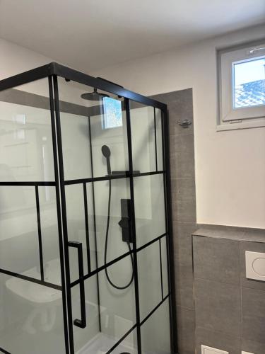 a glass shower door in a bathroom with a window at Bedřichov Jaroš in Bedřichov
