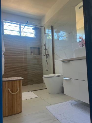 a bathroom with a shower and a toilet in it at Vi la dous Kreyol in Sainte-Rose
