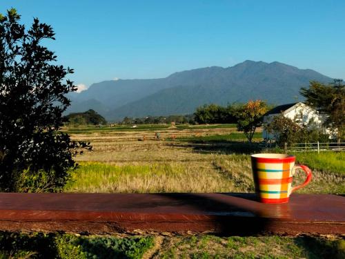 a coffee cup sitting on a table next to a field at Ricefield Homestay มองนาภูคาน่านโฮมสเตย์ in Ban Thon (1)