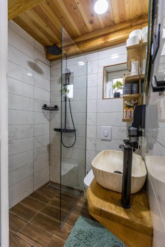 a bathroom with a sink and a glass shower at Family Oasis, Plaški in Plaški