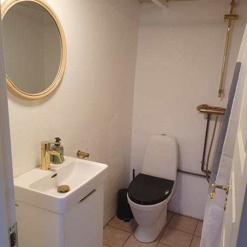 a bathroom with a sink and a toilet with a mirror at Slotsgaardens ferielejlighed in Rødding