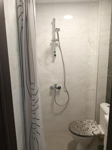 a bathroom with a shower and a toilet at Studio Kath&Darc in Ruse