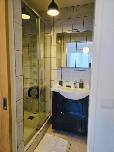 a bathroom with a sink and a shower at Le Cocon Bright Large TV Free parking in Fleury-les-Aubrais