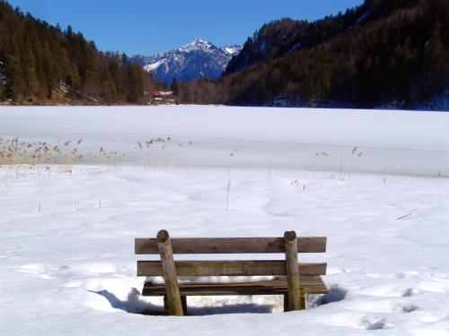a wooden bench sitting on a snow covered lake at Hotel Restaurant Alatsee in Füssen
