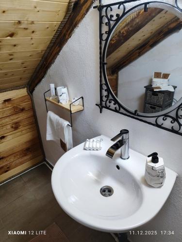 a bathroom with a white sink and a mirror at River Haus in Călineşti