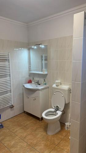 a bathroom with a toilet and a sink at Hetes7 Villa Negra in Hetes