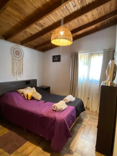 a bedroom with a purple bed and a chandelier at Evergreen in Mar del Plata