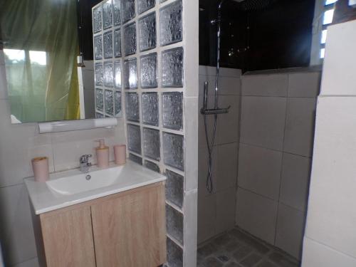 a bathroom with a sink and a shower at Bungalow citron in Petit-Bourg