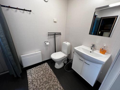 een badkamer met een wit toilet en een wastafel bij Huvikumpu in Orivesi