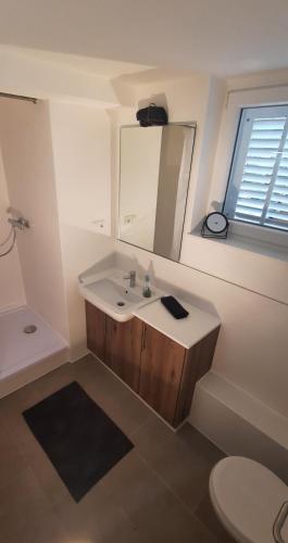 a bathroom with a sink and a mirror and a toilet at Green Garden , HOMEANDSAIL in Jezera