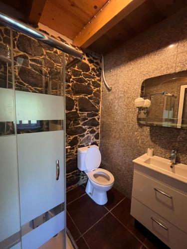 a bathroom with a toilet and a sink at Casa Duque in Santana with AC and heating in Santana