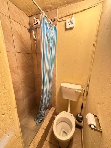 a small bathroom with a toilet and a shower at SleepCozyGuestHouse in Soweto